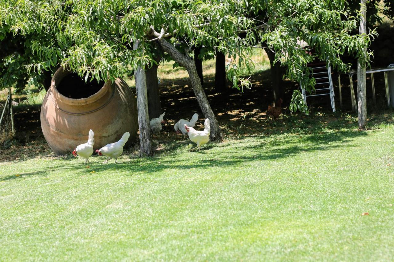 El Pinarejo Holiday home