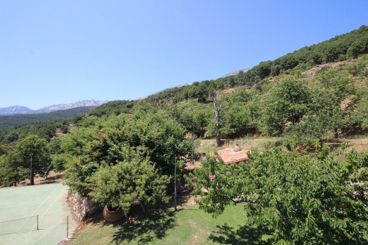 Holiday home El Pinarejo *