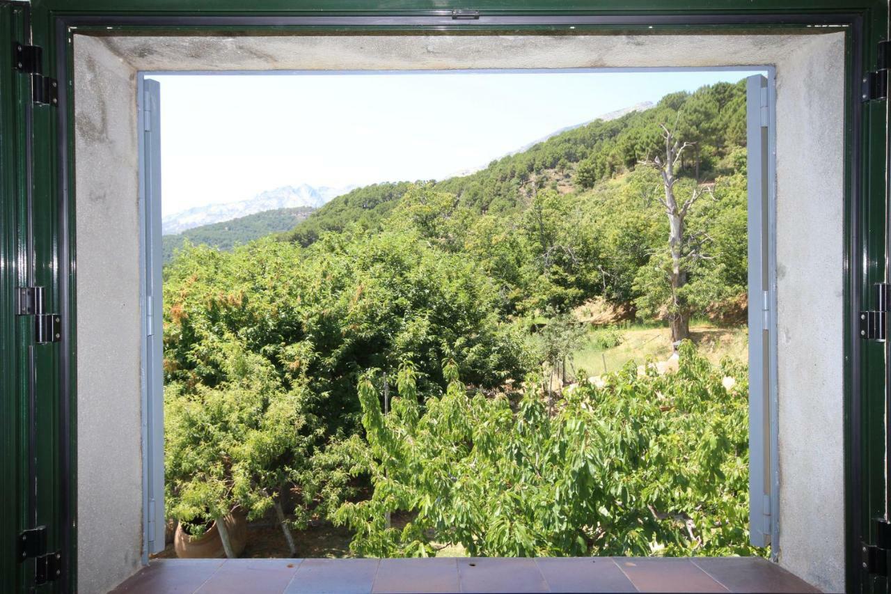 Holiday home El Pinarejo *